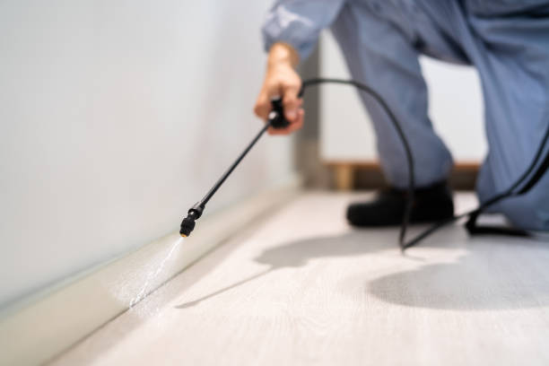 Licensed Fumigation Services service in Panthersville, GA - Nex Pest Control
