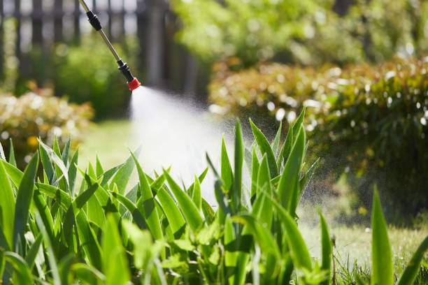 24/7 Emergency Fumigation Services experts in Panthersville, GA
