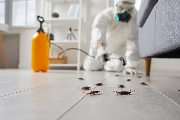 Trusted Fumigation Services service in Panthersville, GA - Nex Pest Control