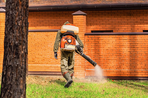 Trusted Mosquito Control service in Panthersville, GA - Nex Pest Control